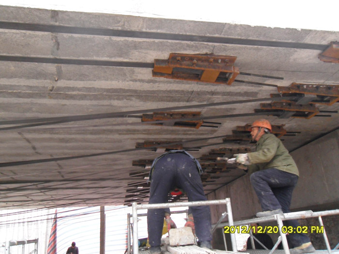 �ߏ�̼�w�S���A(y��)��(y��ng)���ӹ�ϵ�y(t��ng)